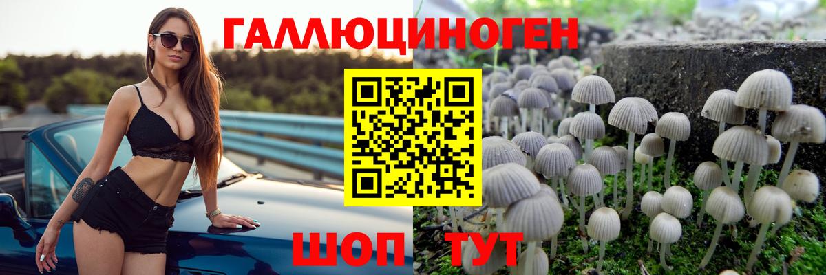 Гусиноозёрск  Галлюциногенные грибы ЛСД  Псилоцибиновые грибы Psilocybe  Вход с VPN 